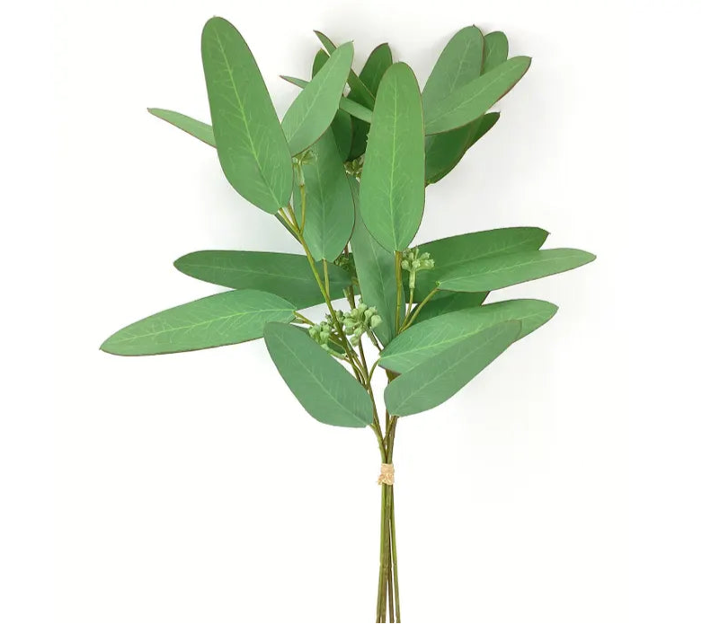 Eucalyptus Bunch