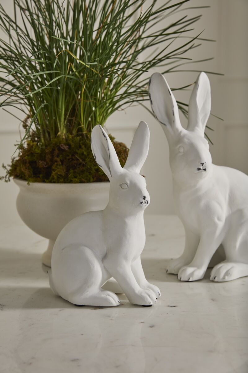 Garden Rabbits