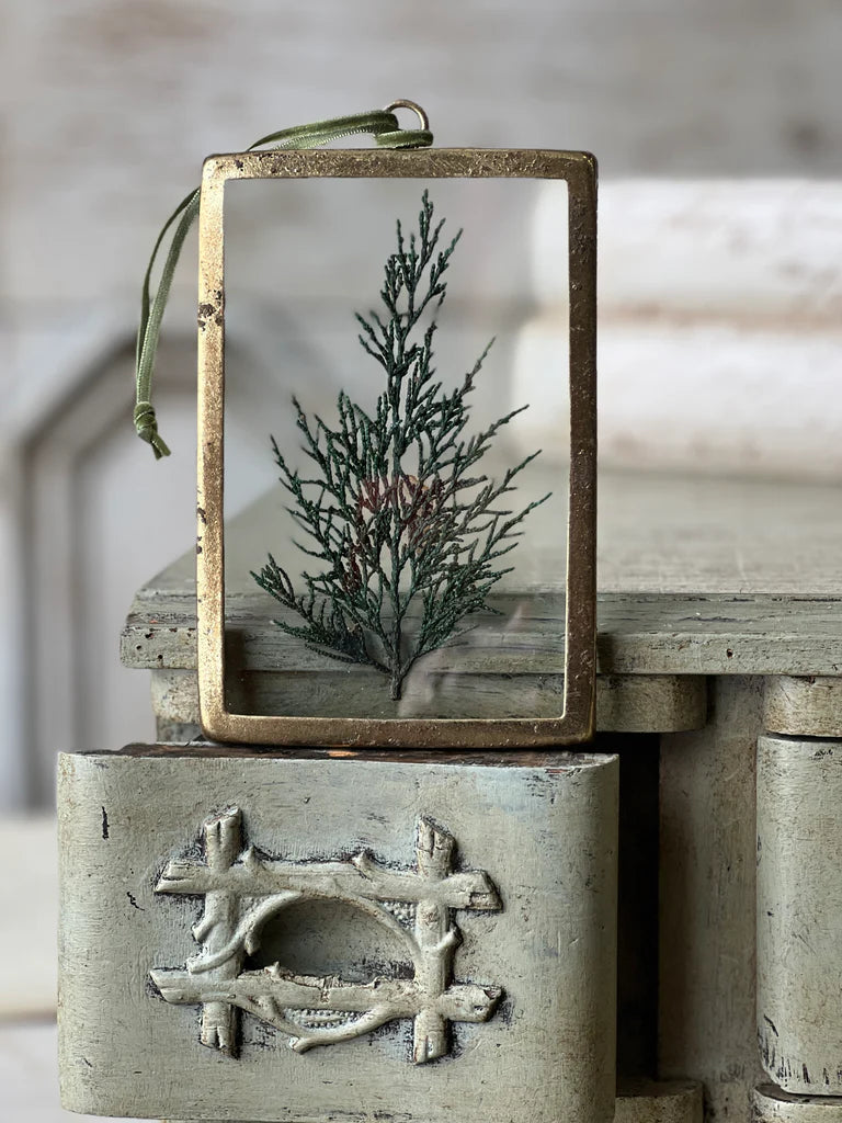 Brass Framed Pine Ornament