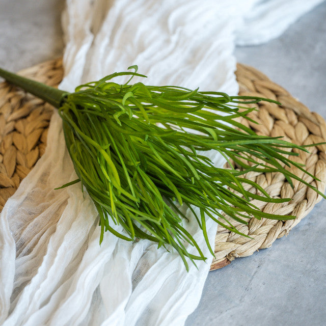 Grass Bush