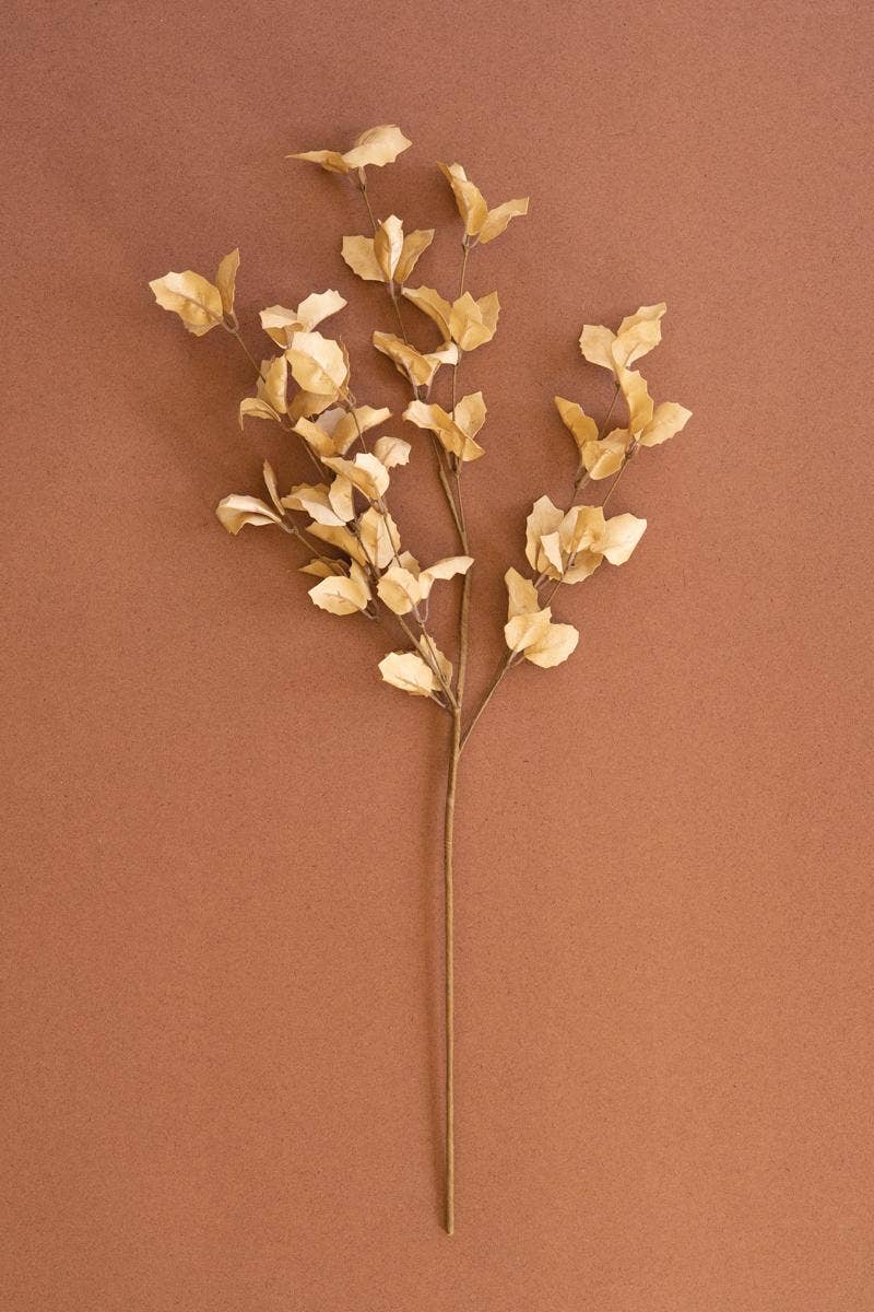 Cream Blooms Stem 30"t