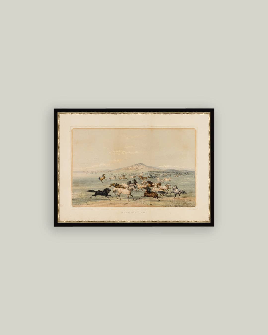 Field of Horses: 9x7