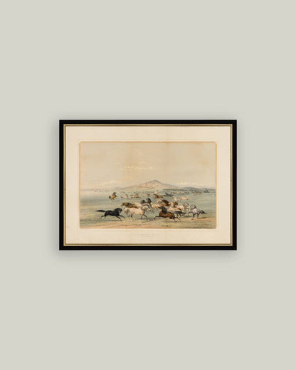 Field of Horses: 9x7
