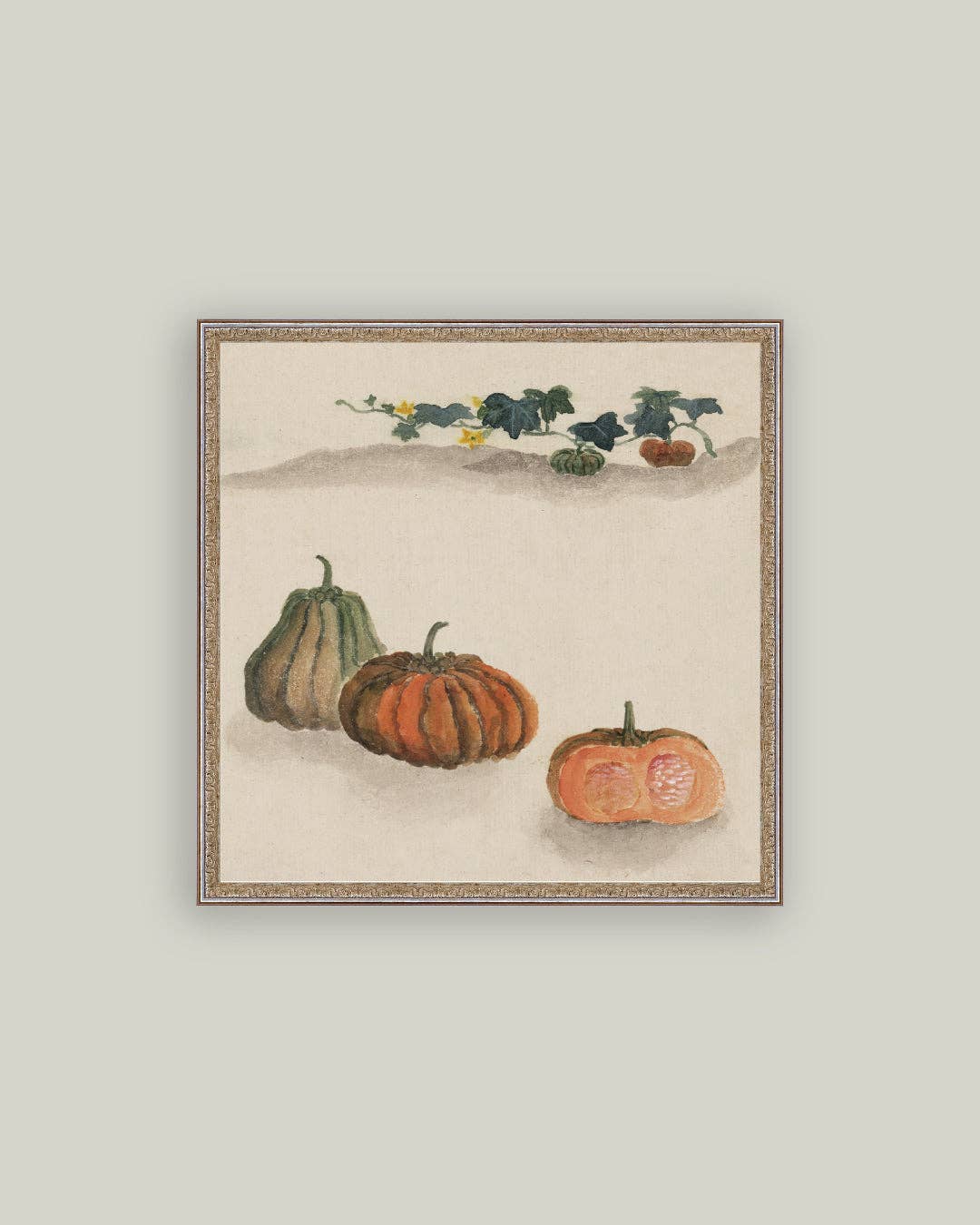 Kobacha Squash: 6X6