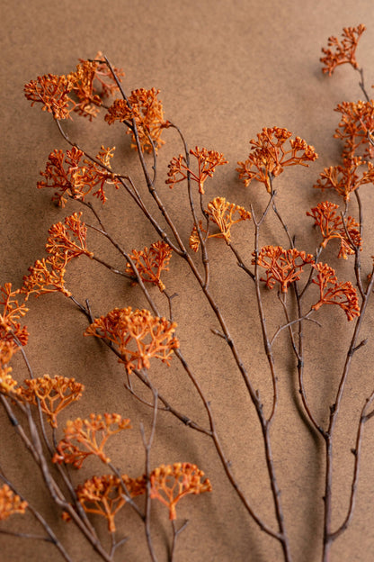 Rust Rice Flower Stem 40" t
