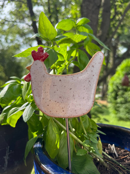 Chicken Plant Buddies