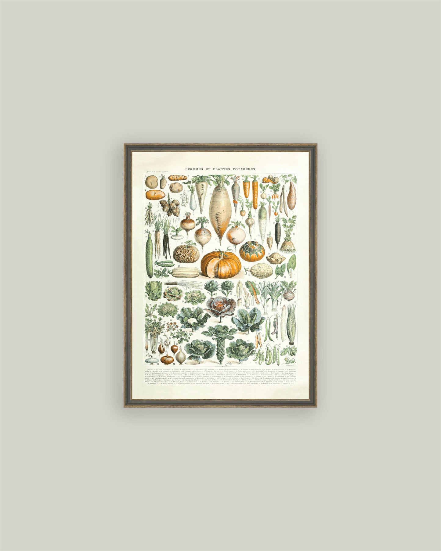 Legumes ET Plantes: 4x6