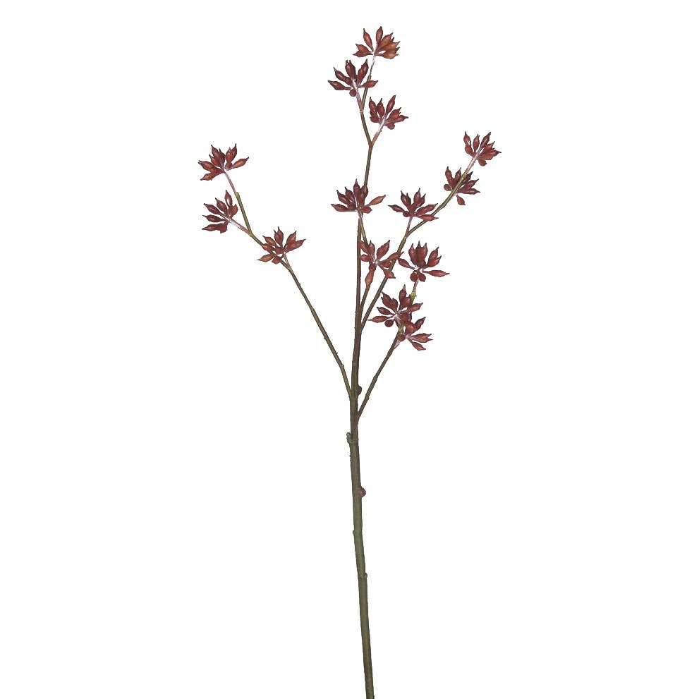 Eucalyptus Bud Spray - 33 Inch