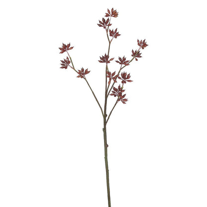 Eucalyptus Bud Spray - 33 Inch