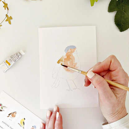 Backyard birds paintable notecards