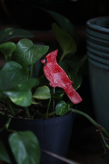 Cardinal Plant Buddies