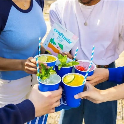 Blueberry Lemonade & Cocktail Mixer - 6 Servings Multipack