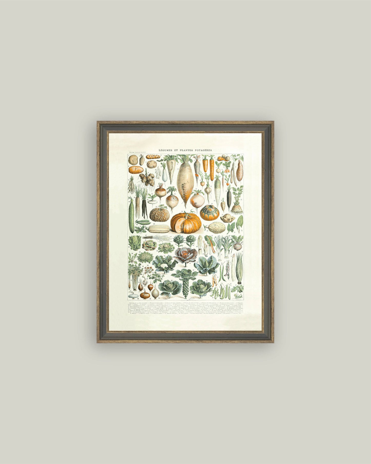 Legumes ET Plantes: 4x6