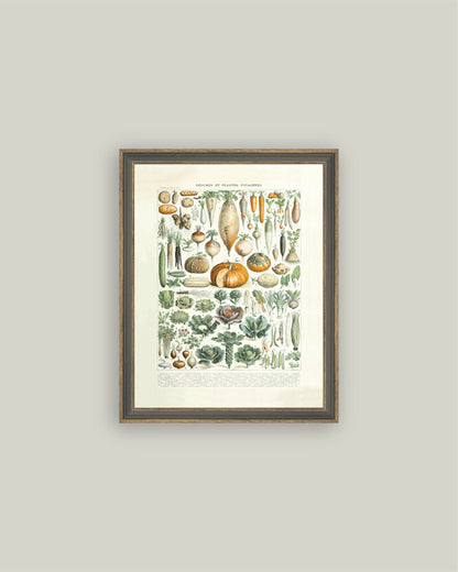 Legumes ET Plantes: 4x6