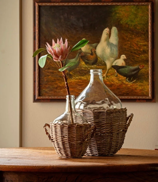 Protea Small Pink