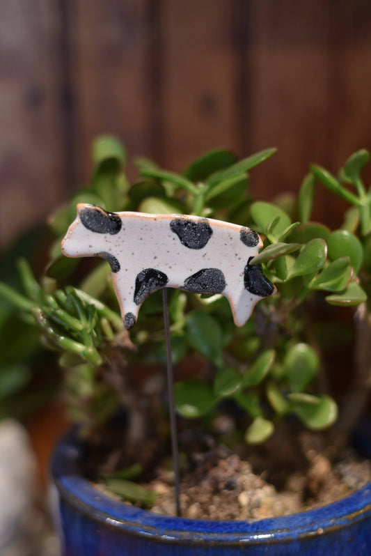 Cow Plant Buddies