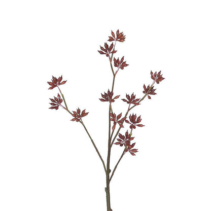 Eucalyptus Bud Spray - 33 Inch