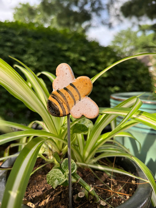 Bee Plant Buddies