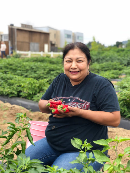 Rage N' Red Jalapeno Pepper Jelly