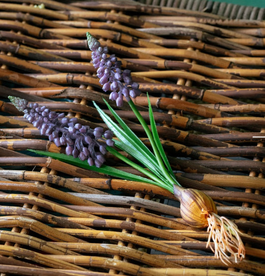 Grape Hyacinth Bulb Pick
