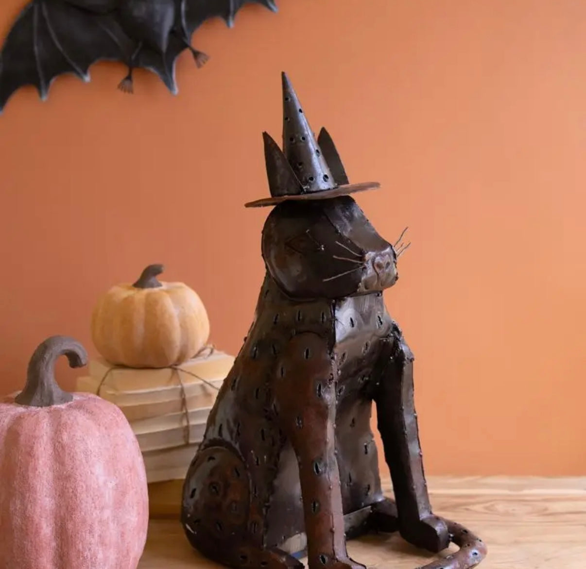Witchy Cat