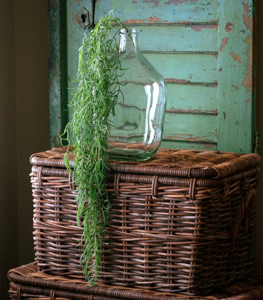 Hanging Succulent Stem