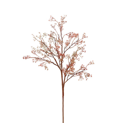Rosa Caspia Stem - 35 Inch