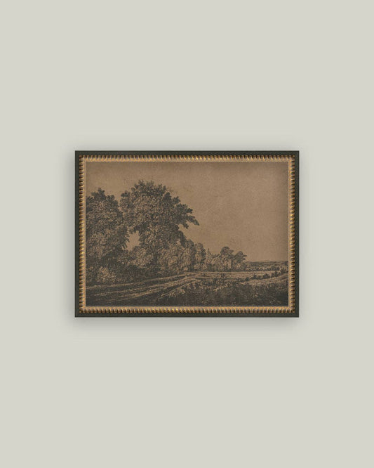 Corn Field Etching: 16x12