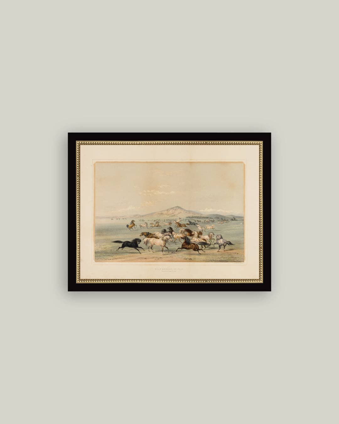 Field of Horses: 9x7