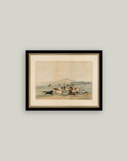 Field of Horses: 9x7