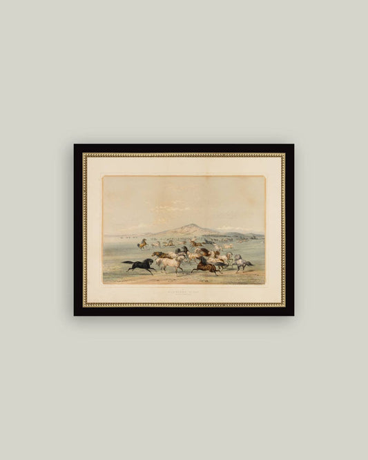 Field of Horses: 9x7