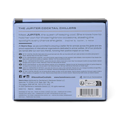 The Jupiter Cocktail Chillers - Silver, Set Of 2