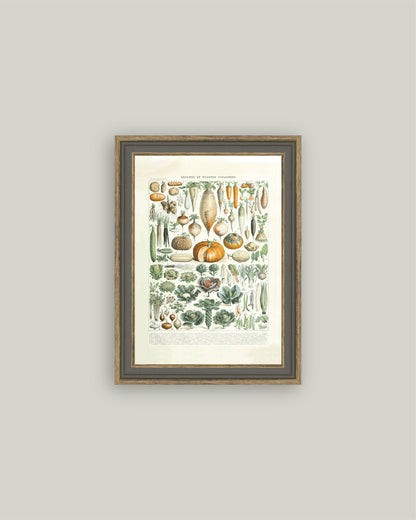 Legumes ET Plantes: 4x6