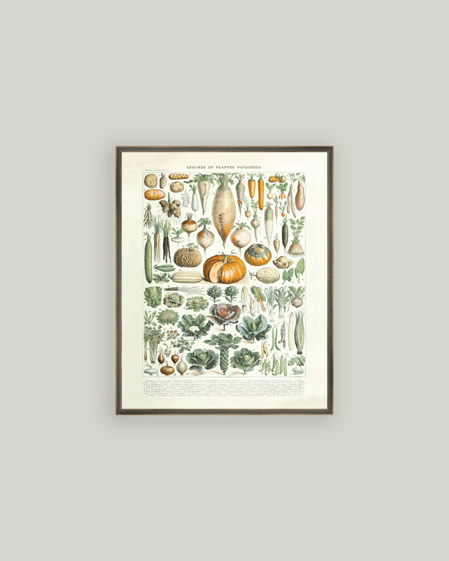 Legumes ET Plantes: 4x6