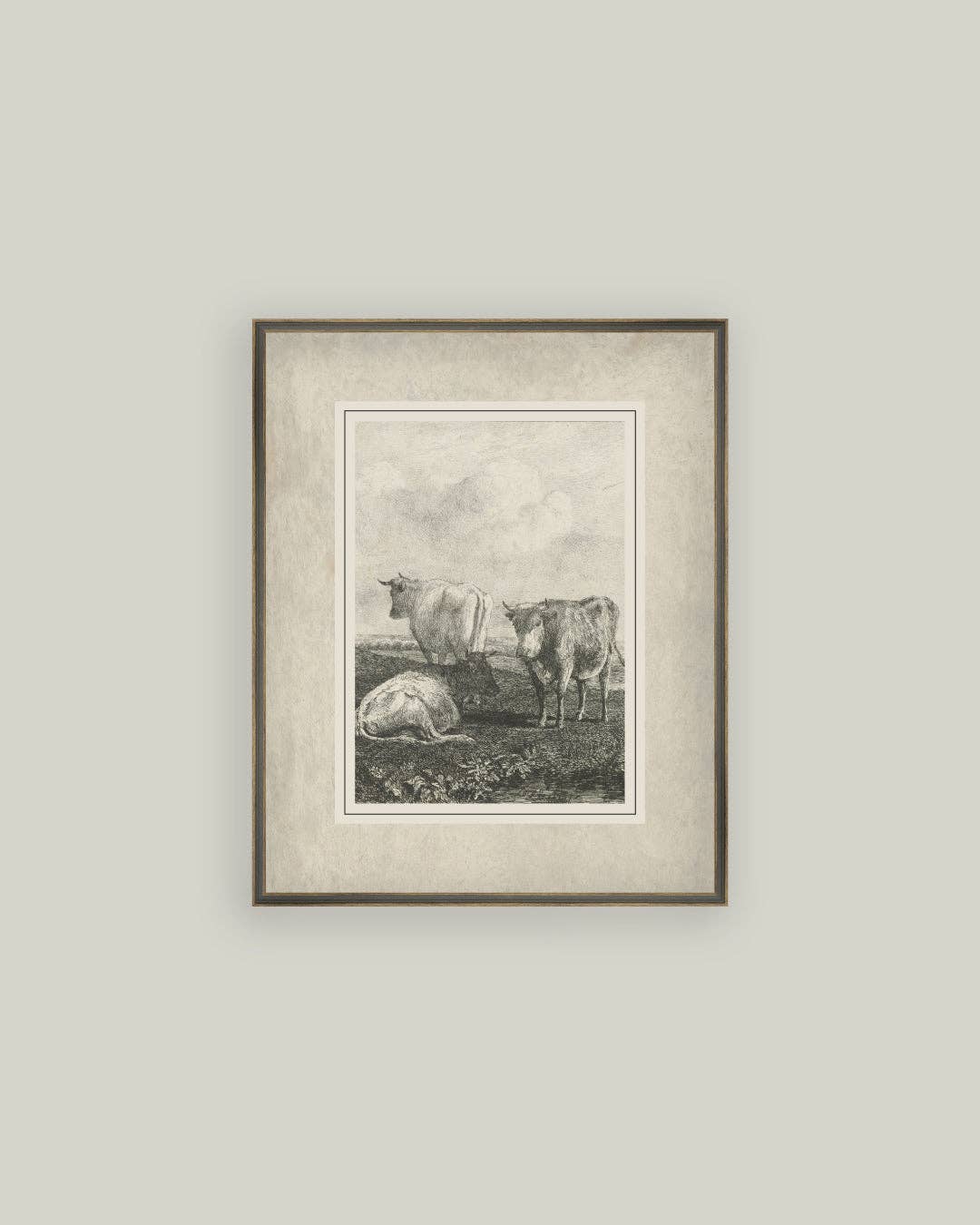 Cattle Sketch: 7x9