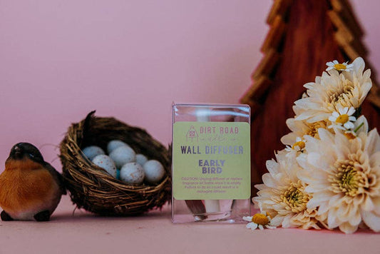 Early Bird Wall Diffuser