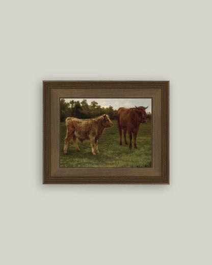Two Cows Grazing: 7x5