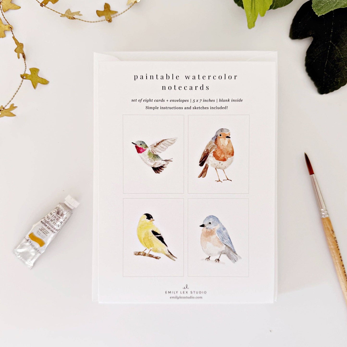 Backyard birds paintable notecards