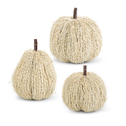 Cream White Pumpkins
