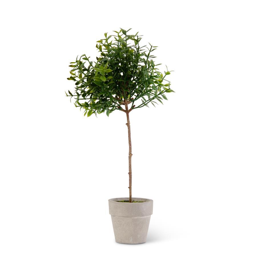 11 inch Mini Potted Tea Leaf Topiary